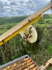 10x 3D Printed Starter Strips