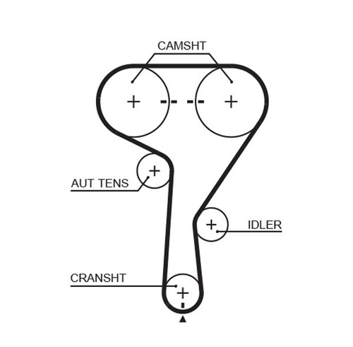 Gates 5603xs timing belt - timing, for