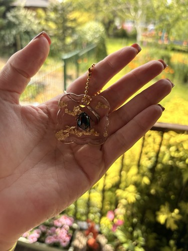 Taxidermy insect beetle scarab - taxidermy,