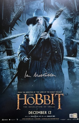 Sir ian mckellen - sir,