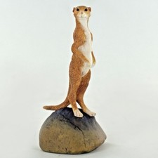 Meerkat On Rock Animal