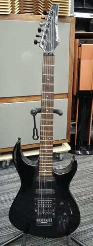 Fernandes sustaniac electric - fernandes,