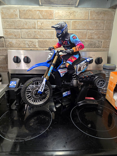 Losi promoto club 1 - losi, promoto-mx
