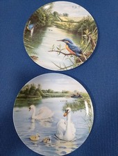 Wedgewood Collector Plates