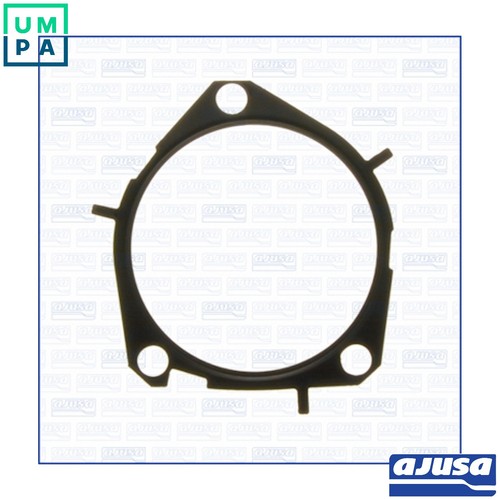 Gasket water pump - pump, for