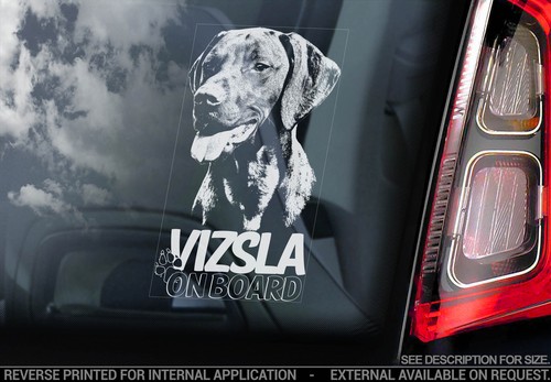 Vizsla car window sticker - window,