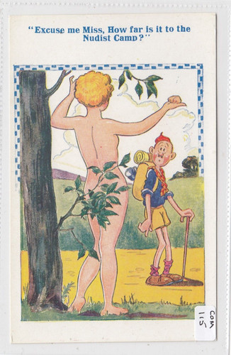 Comic postcard nudist - ,