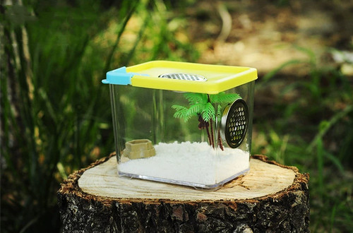 Praying mantis stick insect - mantis,