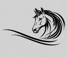 1 x Horsebox Vinyl Decal –