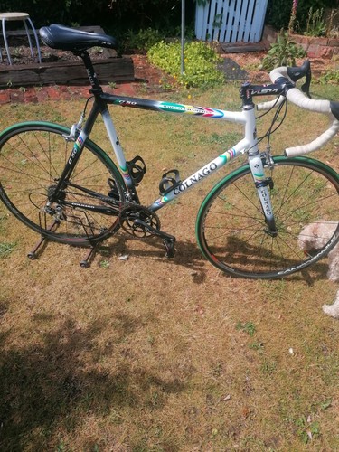 Colnago c50 world championship - colnago,