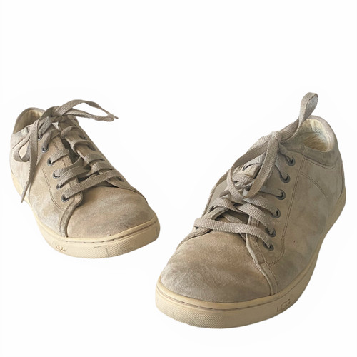 Womens ugg evera - ugg,