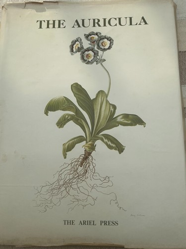 The auricula its history - the, auricula,