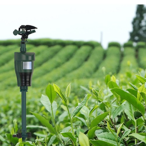 Heron scarer motion activated - scarer,