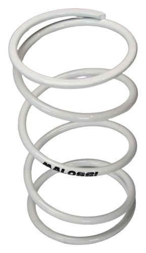 Back pressure spring - , malossi