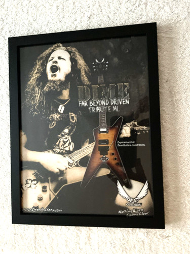 Dimebag darrell far beyond - darrell,