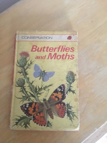 Butterflies and moths - butterflies, ladybird