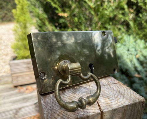Antique solid brass door - brass, rim