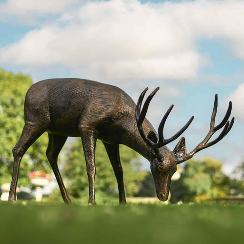 Antique bronze roe life size - 'roe',