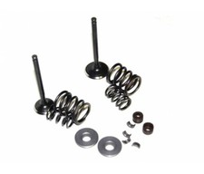 Complete head overhaul kit - complete,