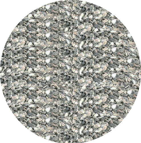Oyster shell course - oyster,