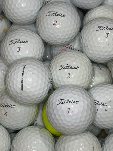 2021 titleist pro - pro, v1x
