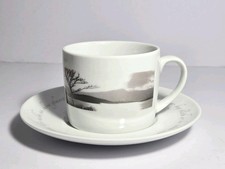 John Hinde Flat Cup & Saucer