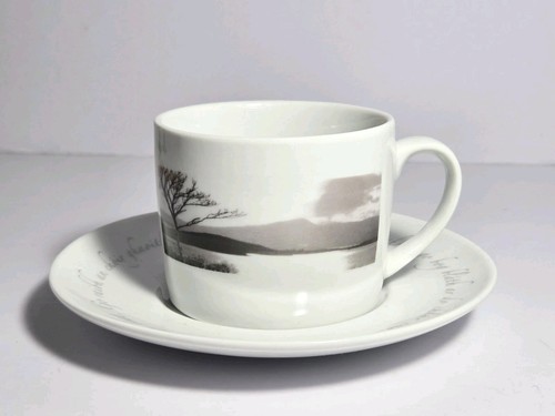 John hinde flat cup - &, saucer