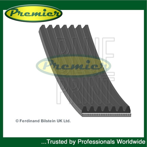 Premier alternator belt fits - premier,
