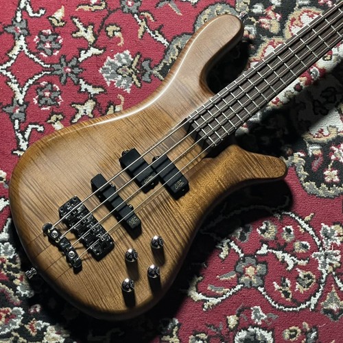 Warwick teambuilt pro series - teambuilt,
