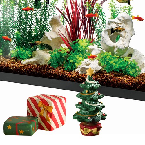 Fish tank aquarium - fish, ornament