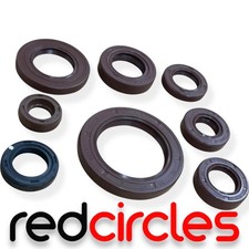 250cc PIT BIKE OIL SEALS FITS