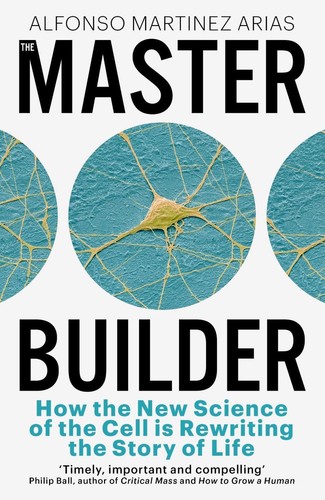The master builder how - how,