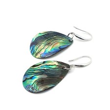 Paua Earrings Rainbow Abalone
