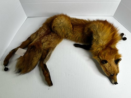 3ft vintage fox - 3ft,