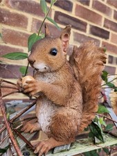 Squirrel ornament garden - squirrel,