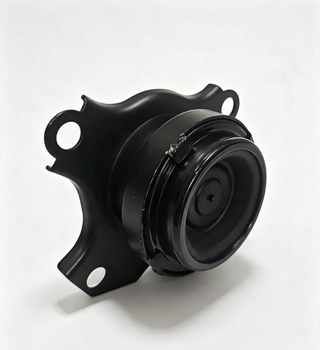 Driver side engine mount - engine, 01-06