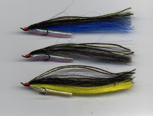 Salmon flies sunray - salmon, flies: