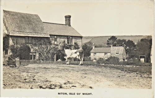 Niton isle wight - isle, of