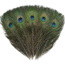 24 PCS Real Natural Peacock