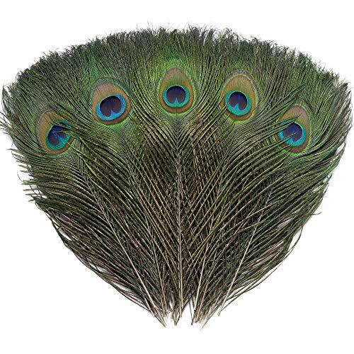 Pcs real natural peacock - pcs,