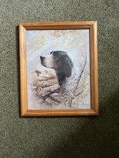 Vintage English Springer