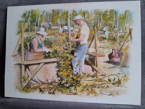 Hop picking hunton art - picking,