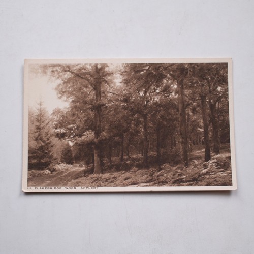 Flakebridge wood appleby - wood,