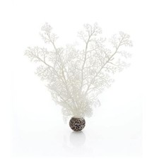OASE BIORB SEA FAN MEDIUM