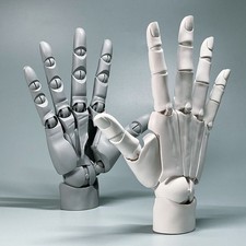 Mannequin Hand Model Flexible
