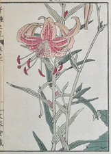 BAIREI TIGER LILY Japanese