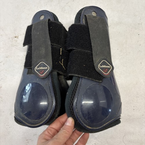 Lemieux derby projump tendon - lemieux,