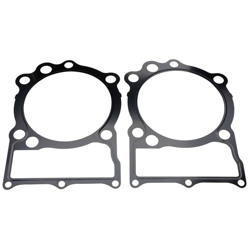 Lower cylinder gasket - lower,
