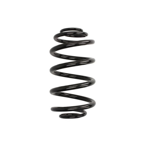Coil spring rear fits - coil, l/r