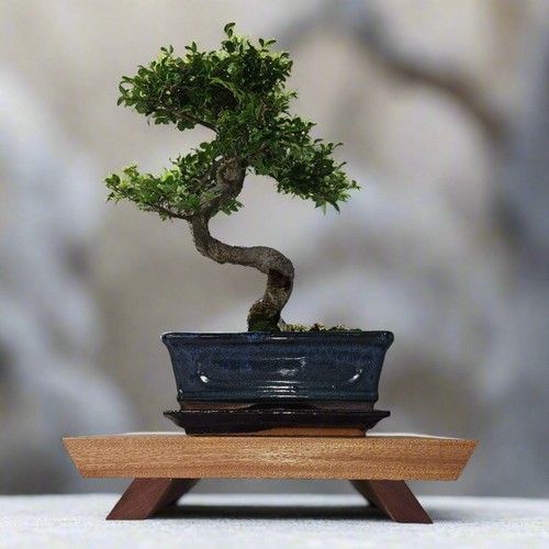 Premium handcrafted hardwood - handcrafted,